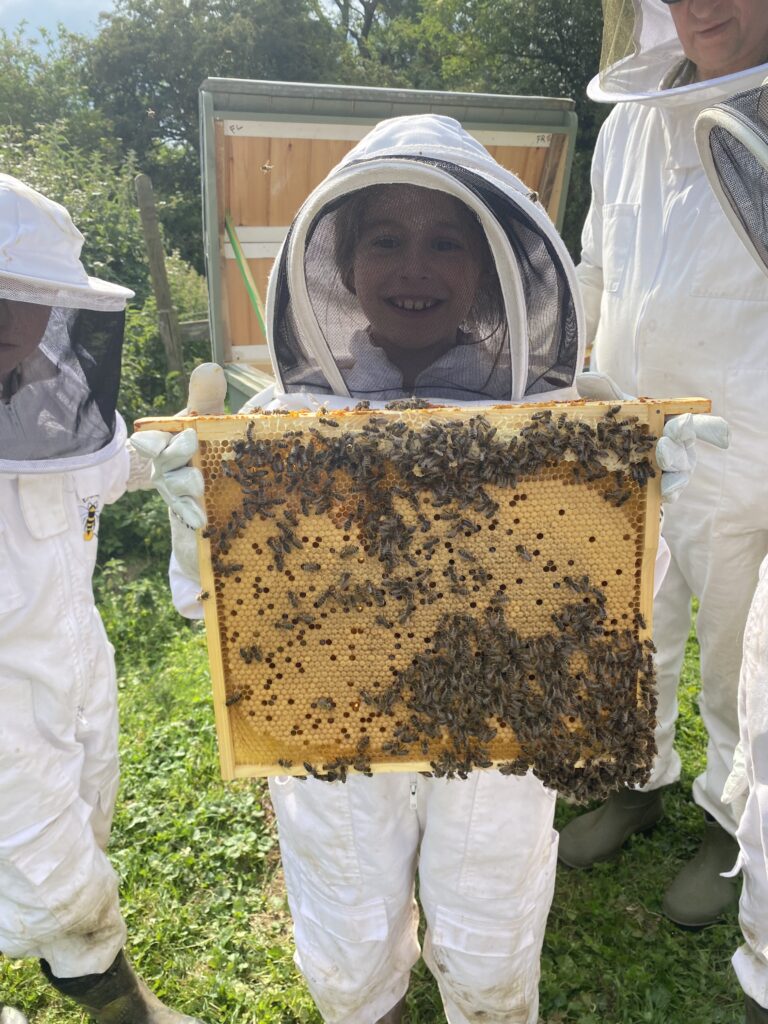 Mr Campbell’s Precious Hive, Copthill School