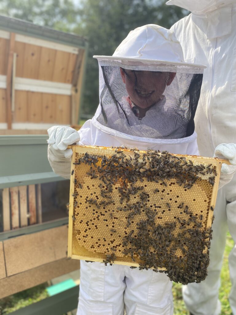 Mr Campbell’s Precious Hive, Copthill School