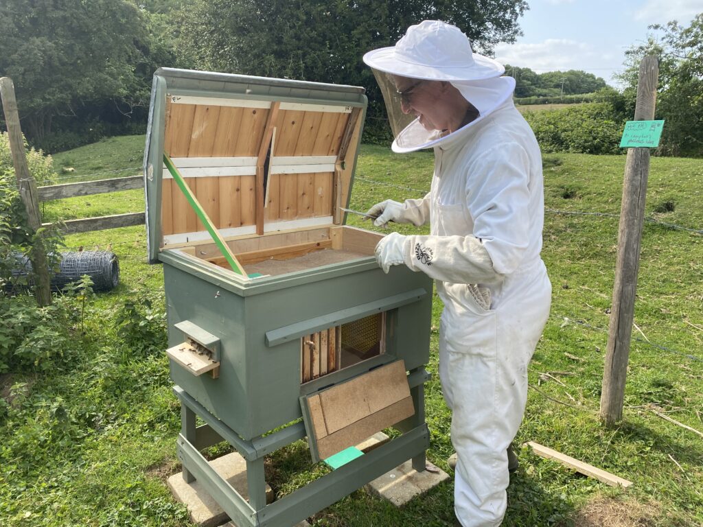 Mr Campbell’s Precious Hive, Copthill School
