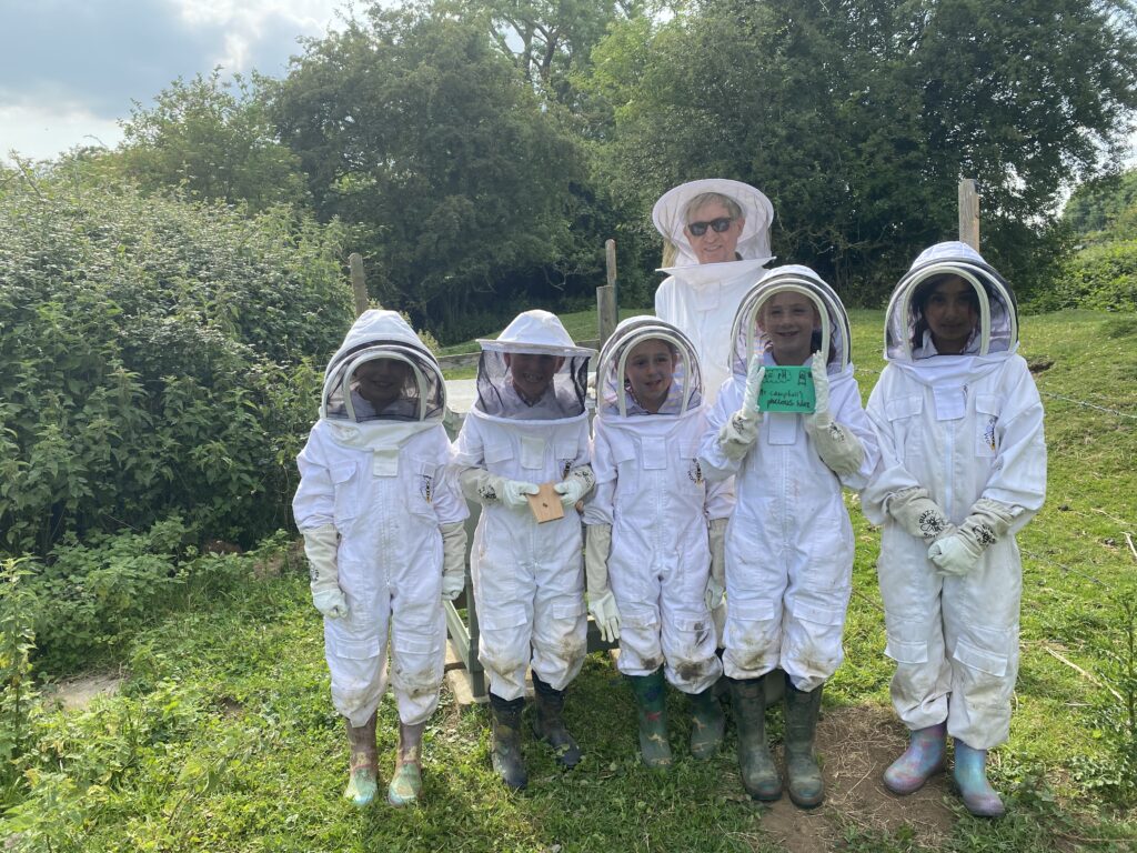 Mr Campbell’s Precious Hive, Copthill School