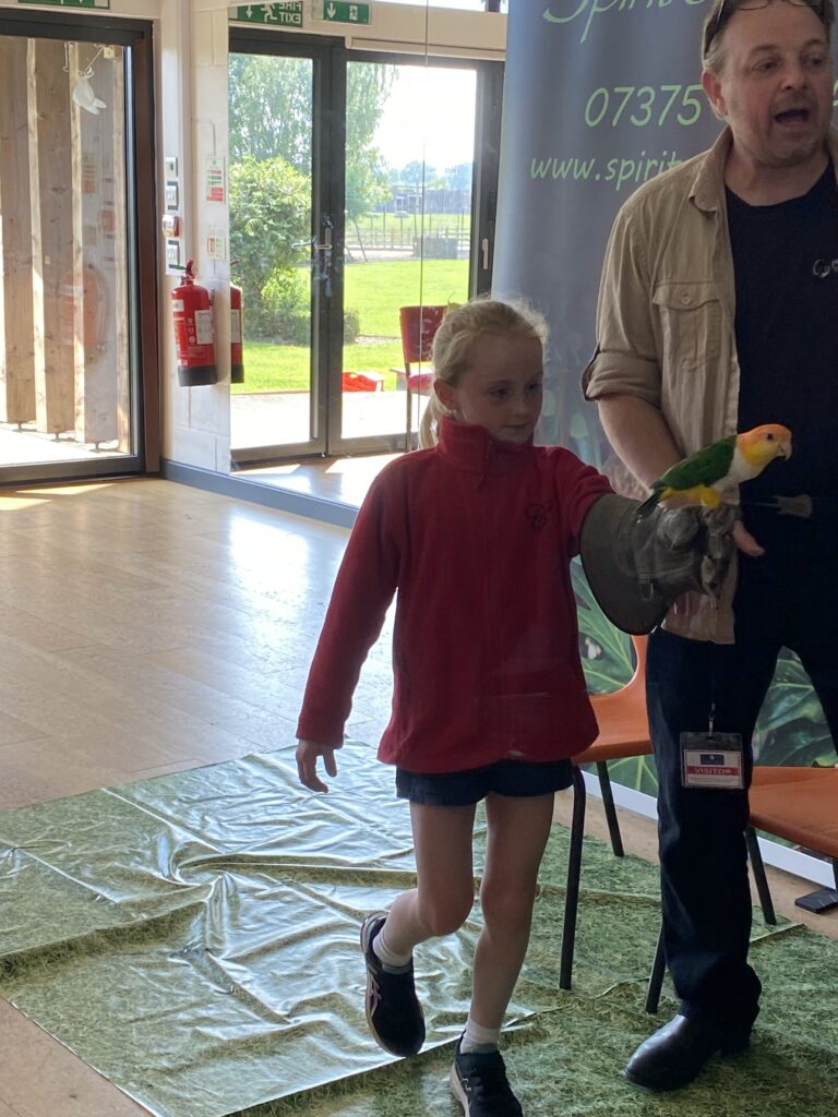 Animal Magic, Copthill School