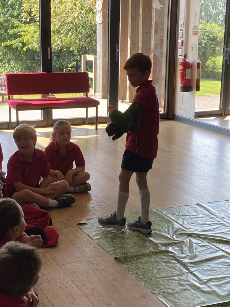 Animal Magic, Copthill School