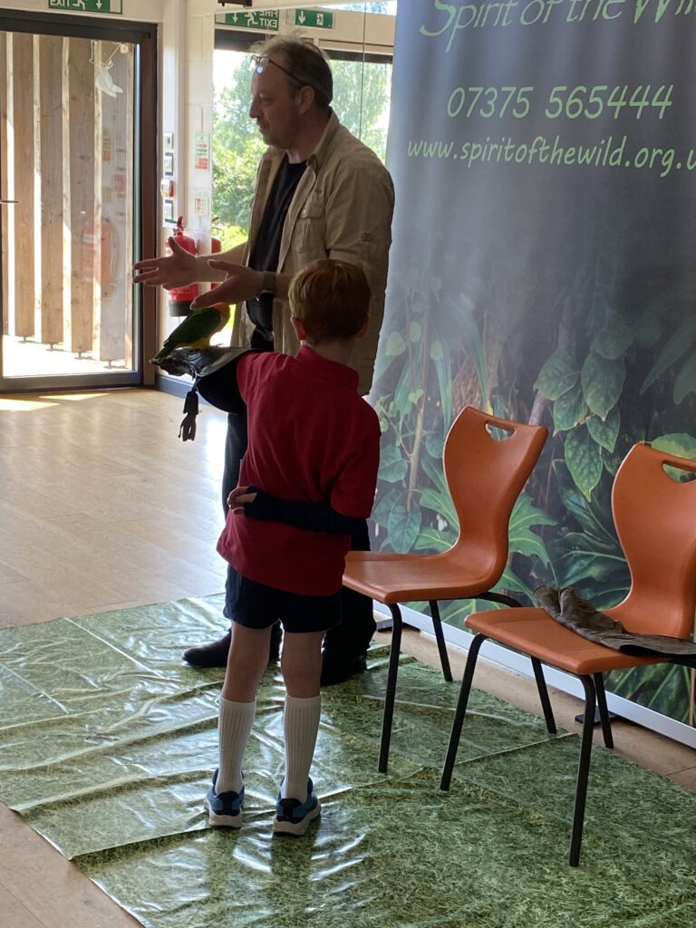 Animal Magic, Copthill School