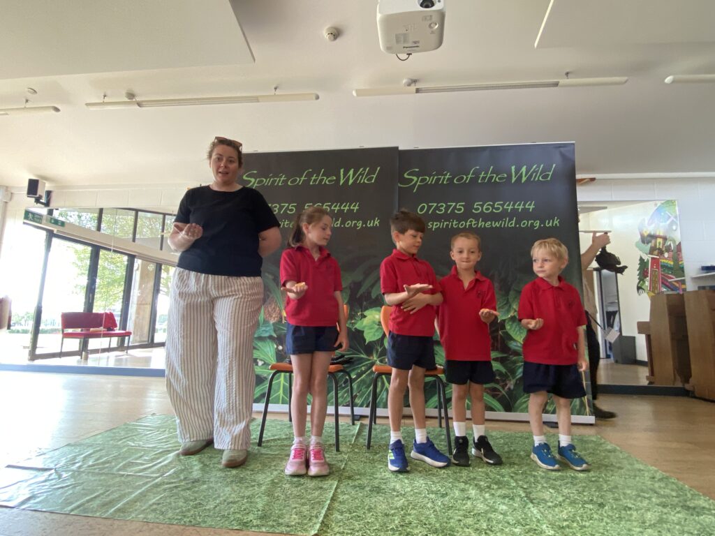 Animal Magic, Copthill School