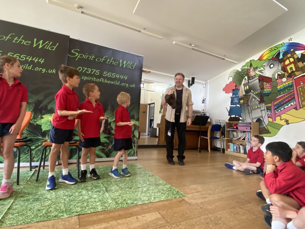 Animal Magic, Copthill School