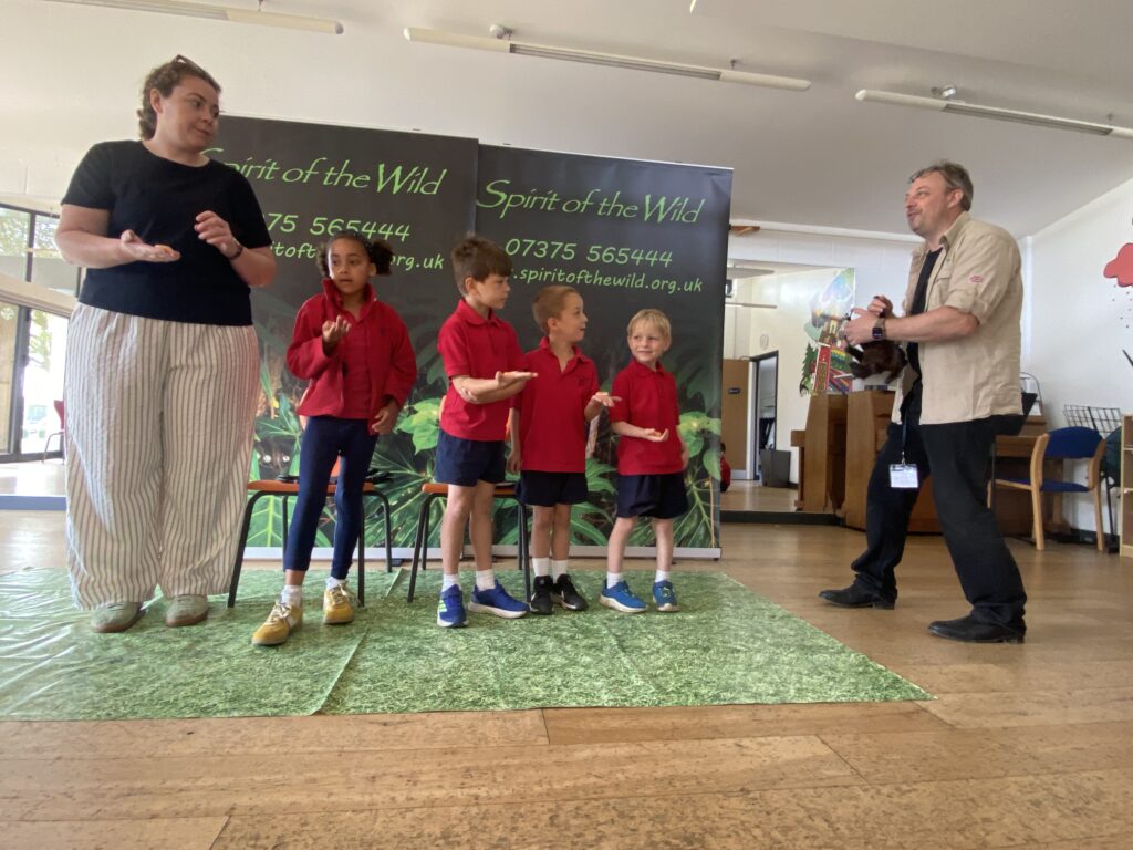 Animal Magic, Copthill School