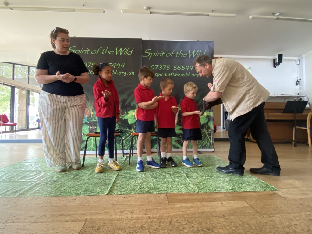 Animal Magic, Copthill School