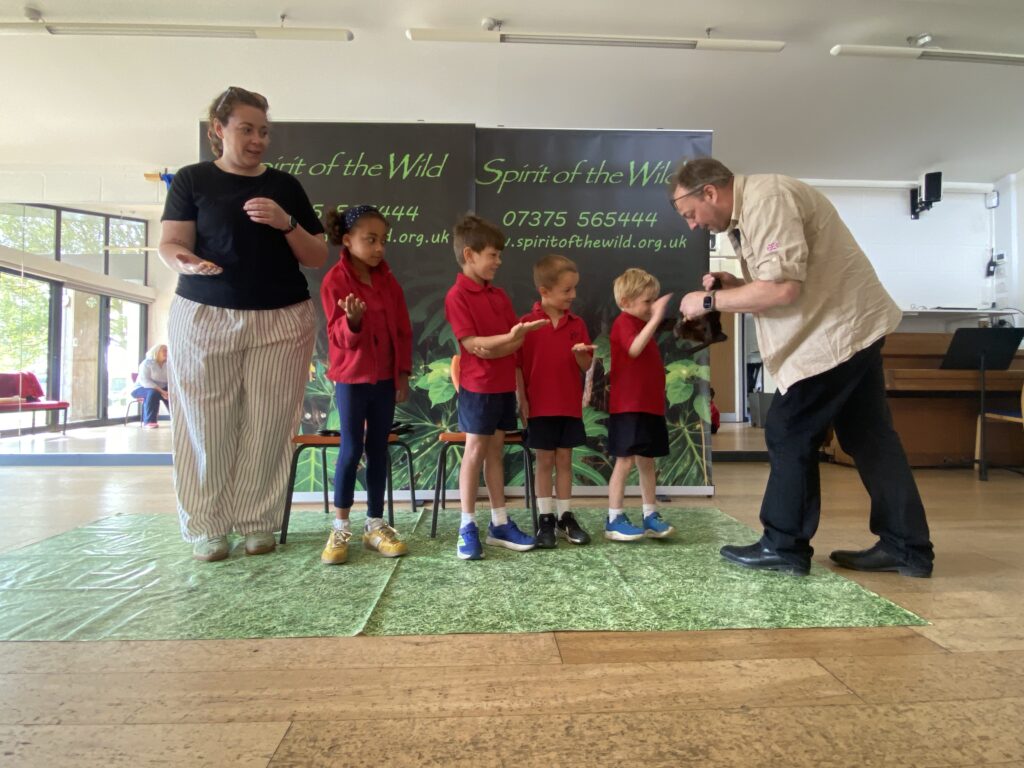 Animal Magic, Copthill School