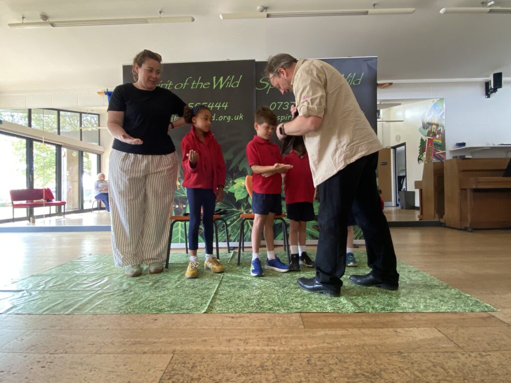 Animal Magic, Copthill School