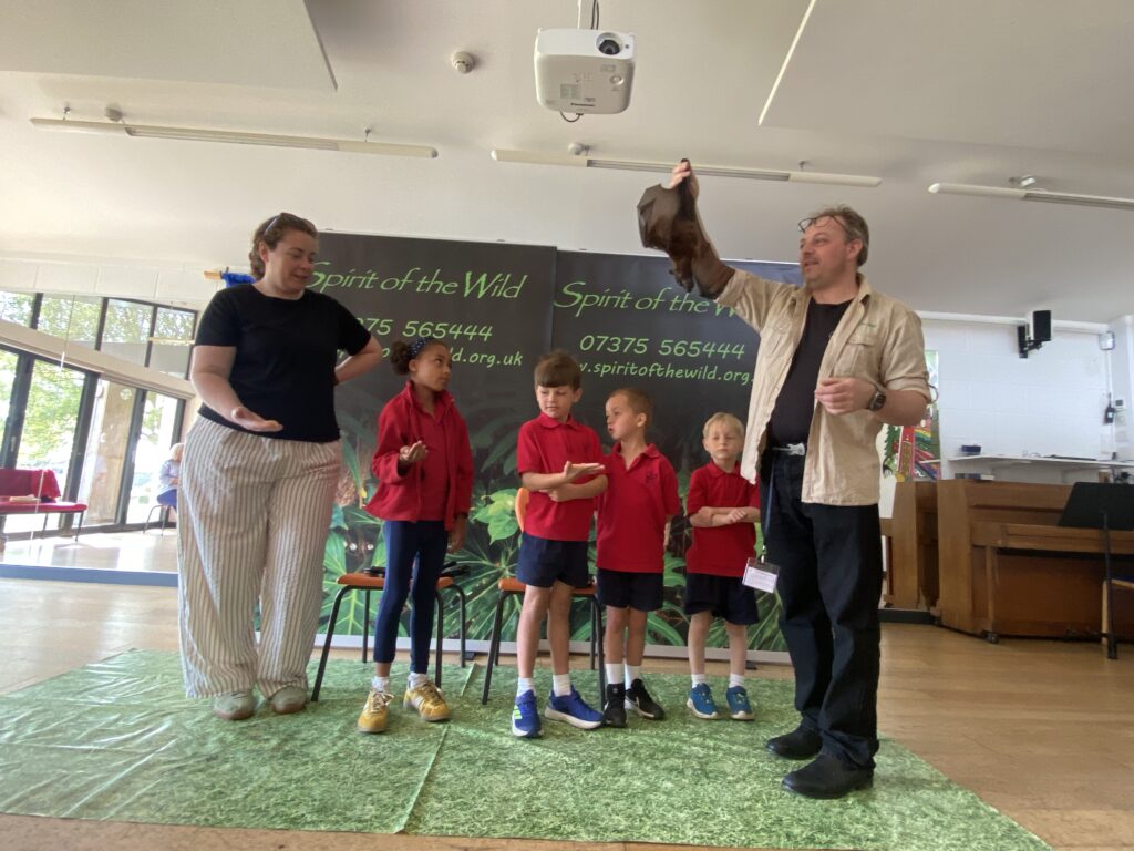 Animal Magic, Copthill School