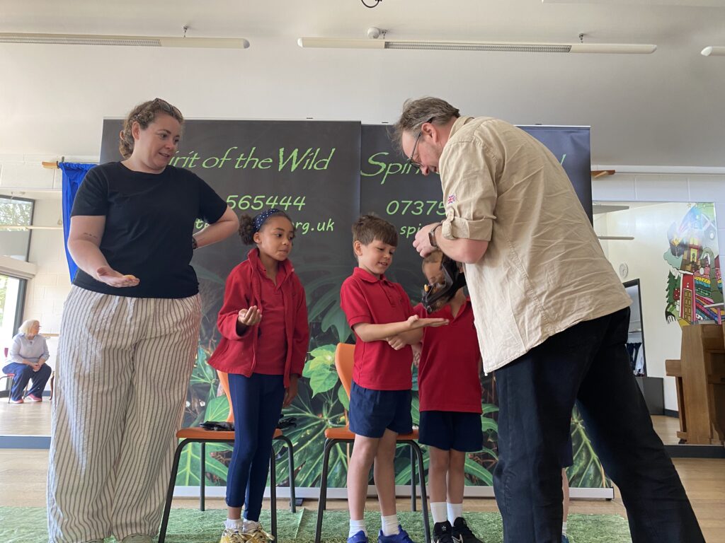 Animal Magic, Copthill School