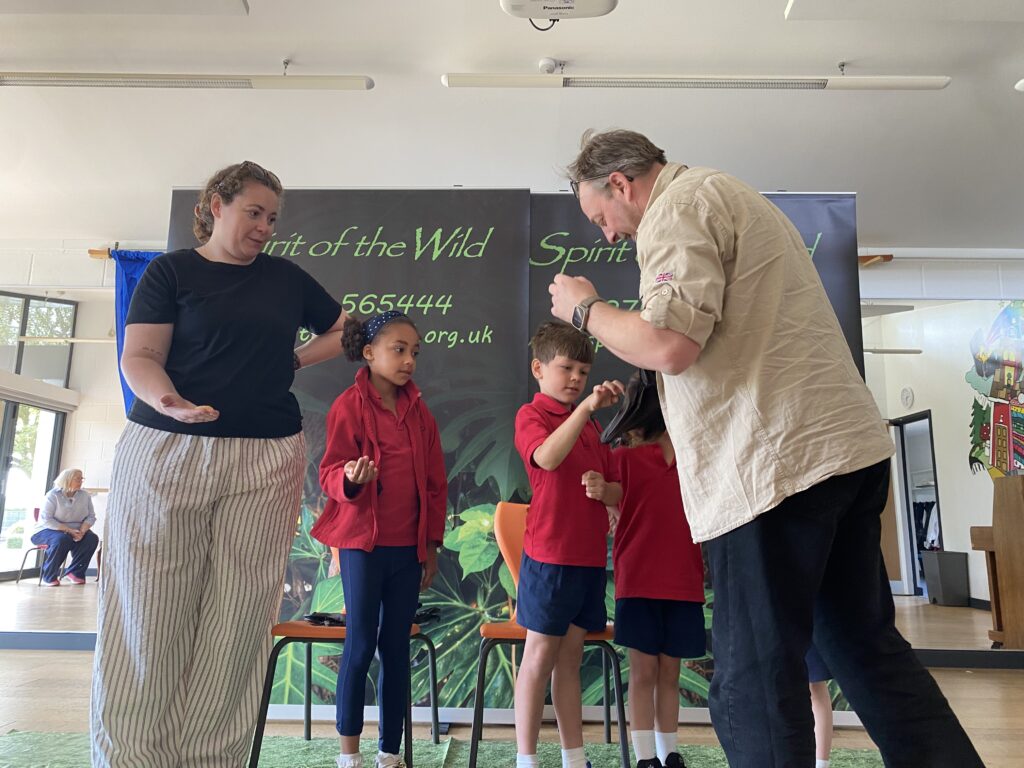Animal Magic, Copthill School