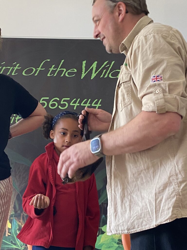 Animal Magic, Copthill School