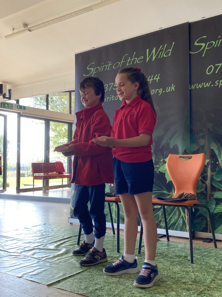 Animal Magic, Copthill School