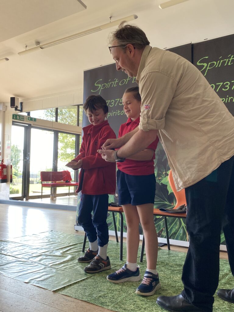 Animal Magic, Copthill School