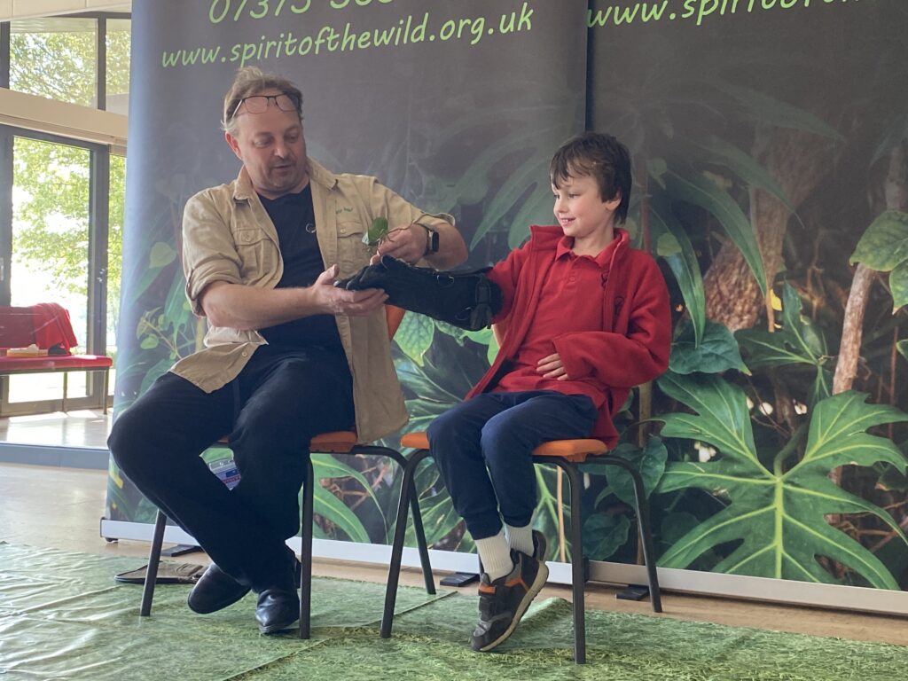 Animal Magic, Copthill School
