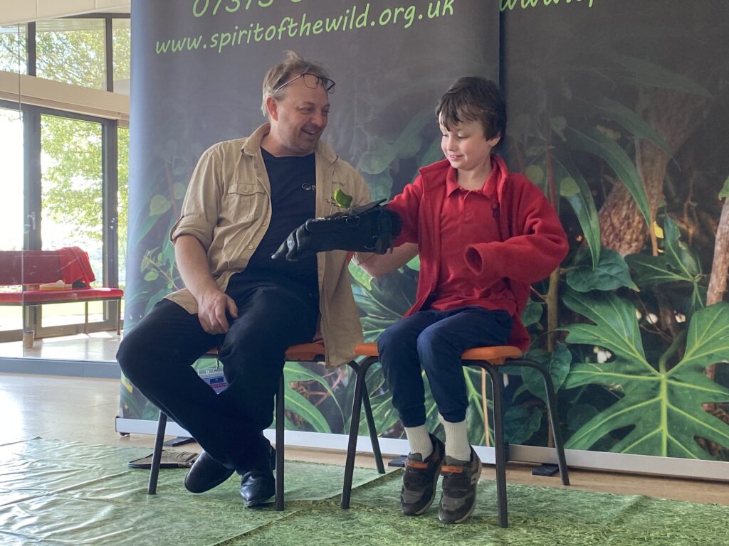 Animal Magic, Copthill School