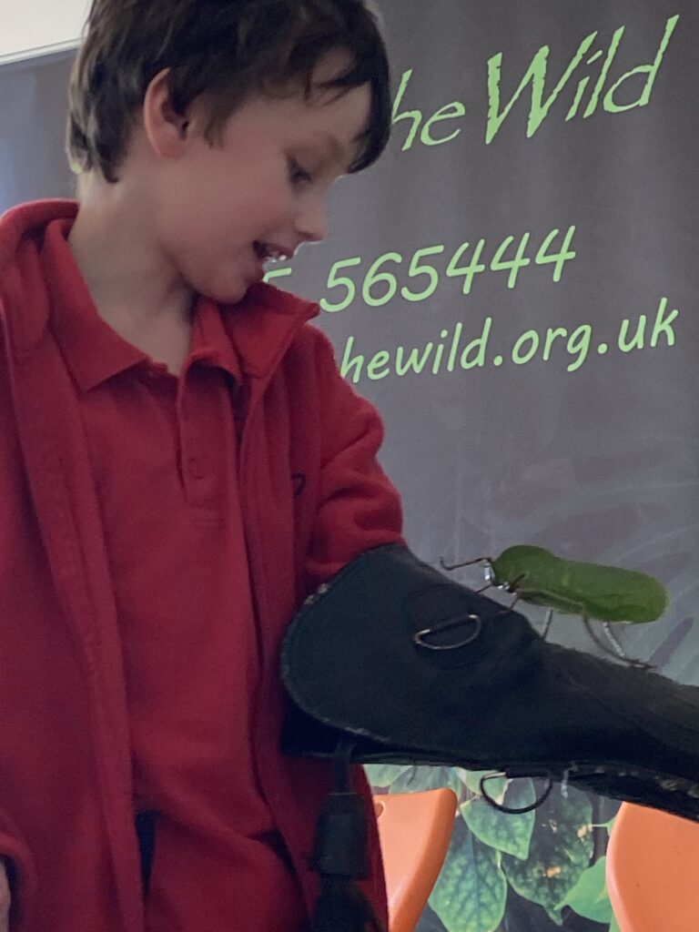 Animal Magic, Copthill School