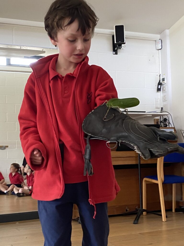 Animal Magic, Copthill School