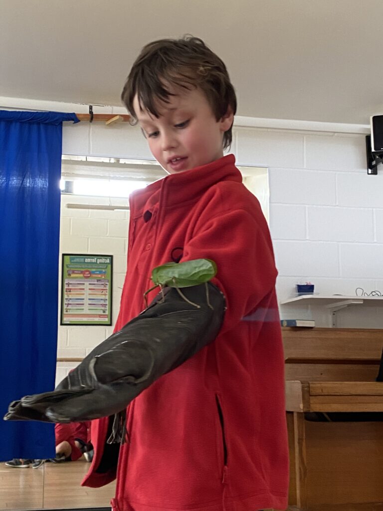 Animal Magic, Copthill School