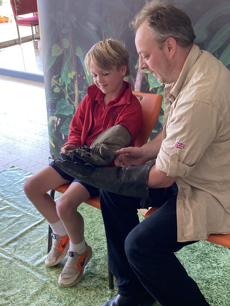 Animal Magic, Copthill School