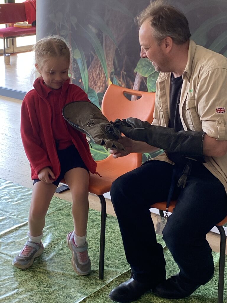 Animal Magic, Copthill School