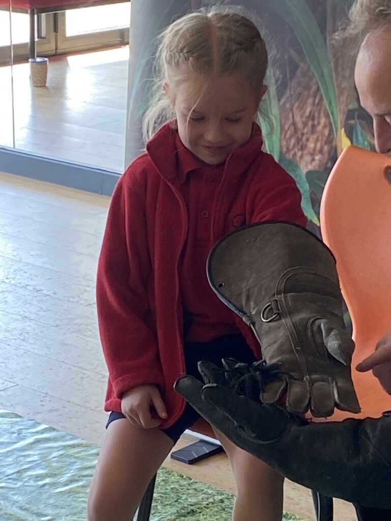 Animal Magic, Copthill School