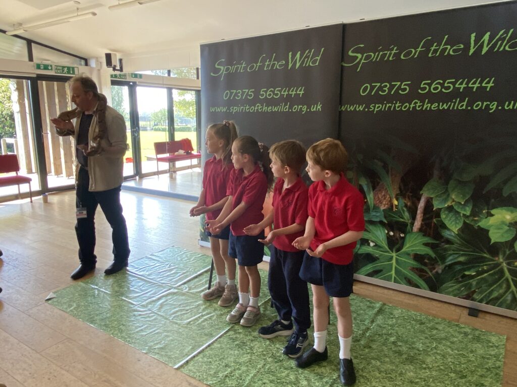 Animal Magic, Copthill School