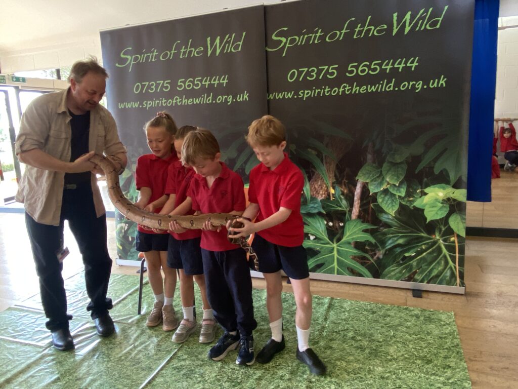 Animal Magic, Copthill School