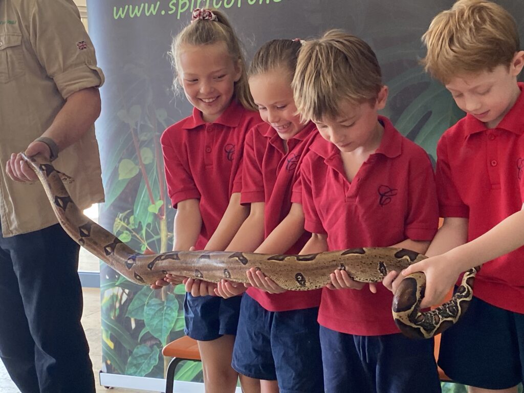 Animal Magic, Copthill School