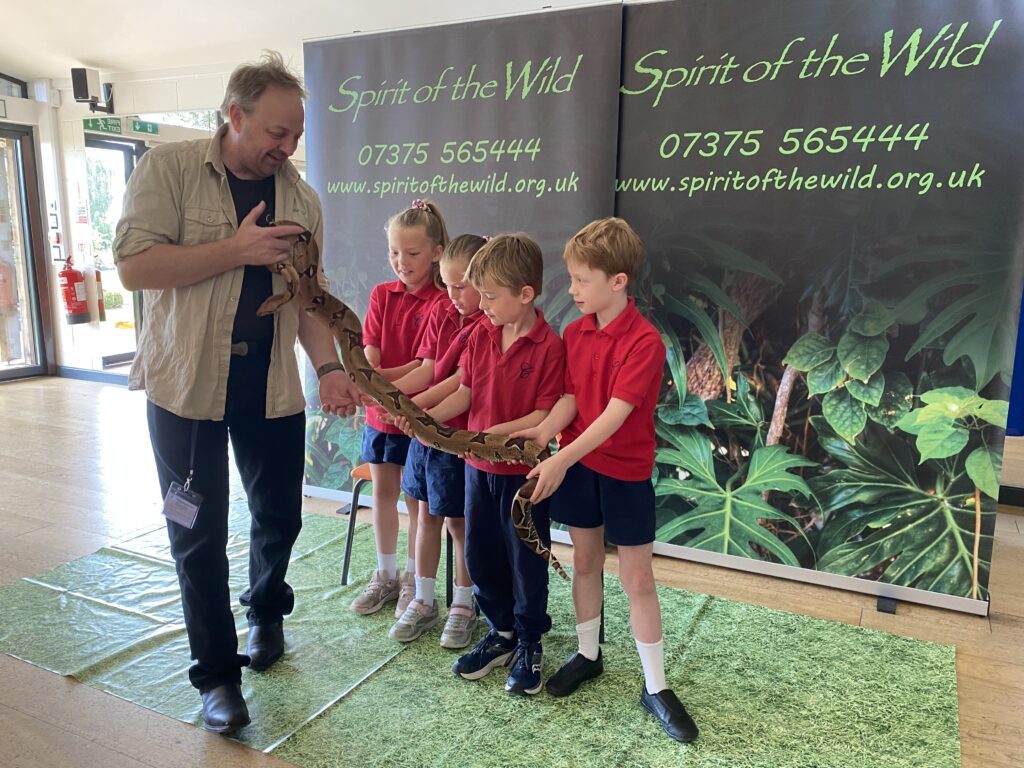 Animal Magic, Copthill School