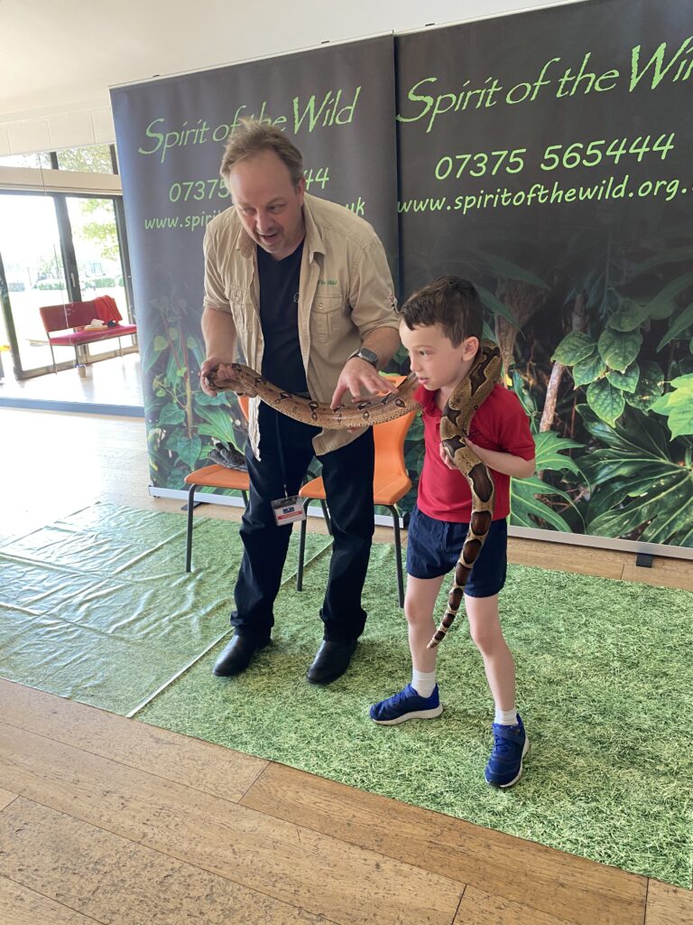 Animal Magic, Copthill School
