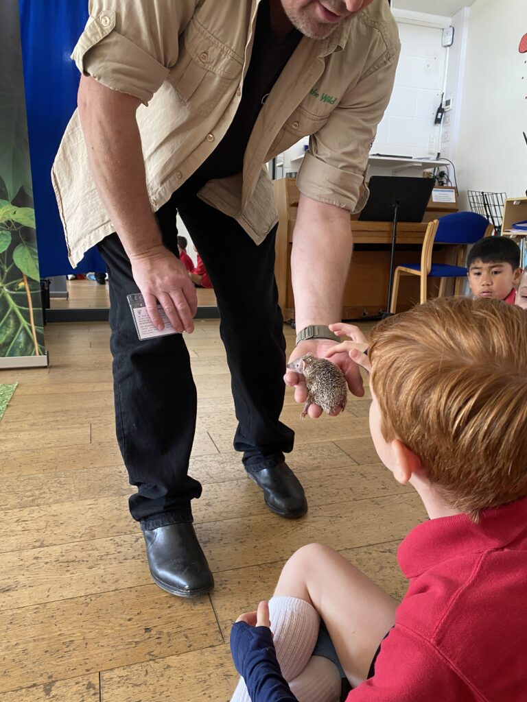 Animal Magic, Copthill School