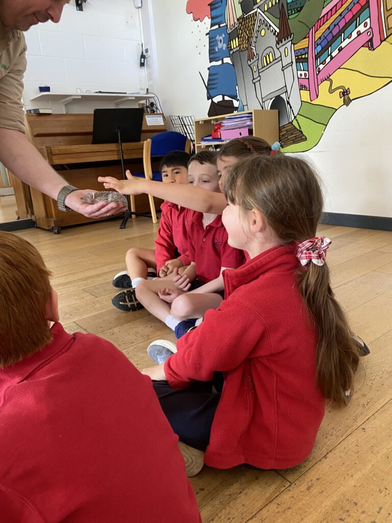 Animal Magic, Copthill School