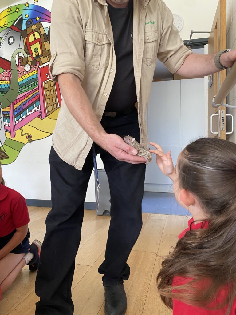 Animal Magic, Copthill School