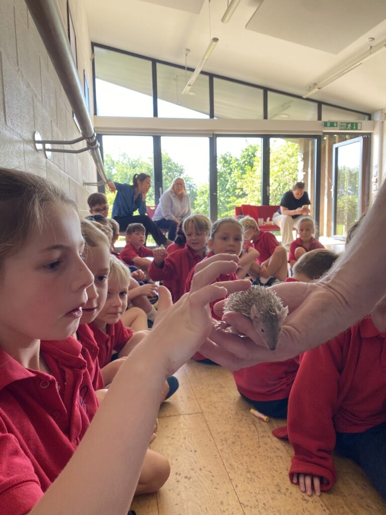 Animal Magic, Copthill School