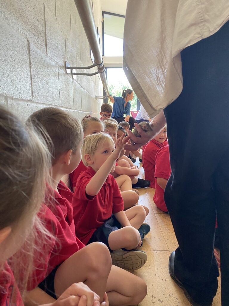 Animal Magic, Copthill School