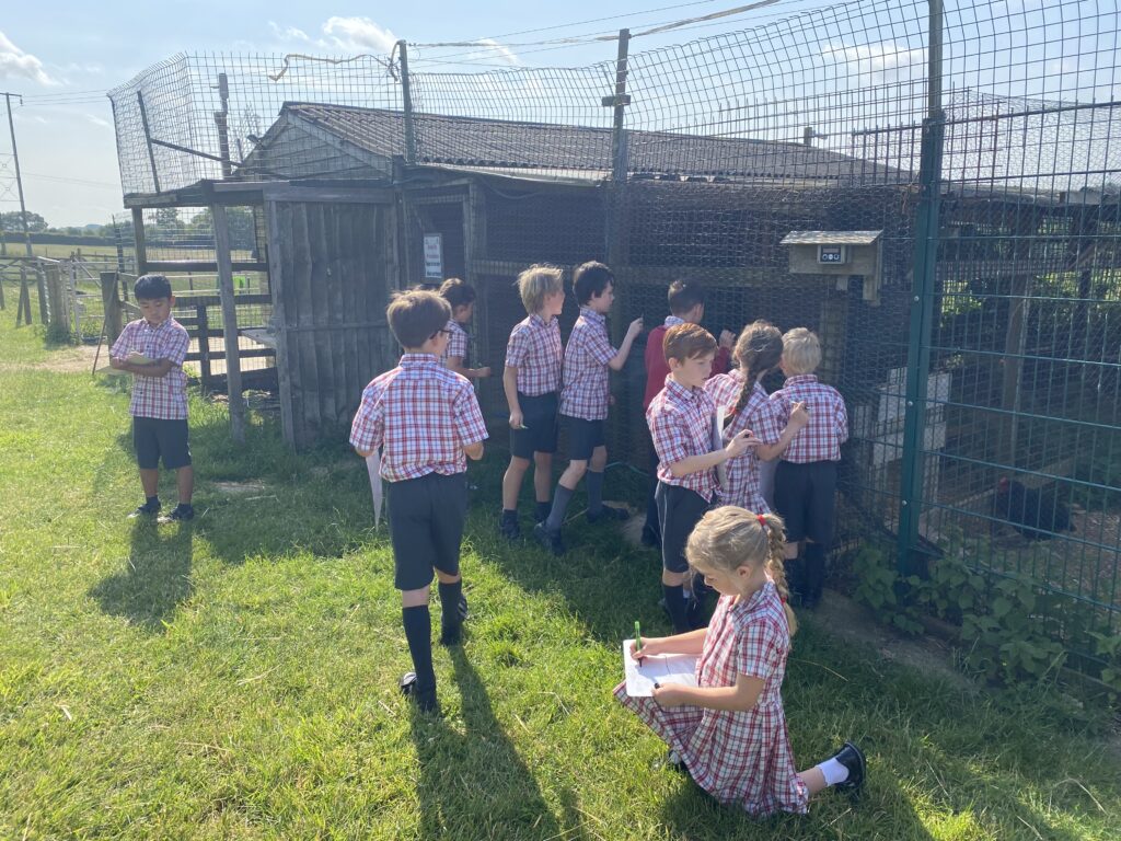 Animal Magic, Copthill School