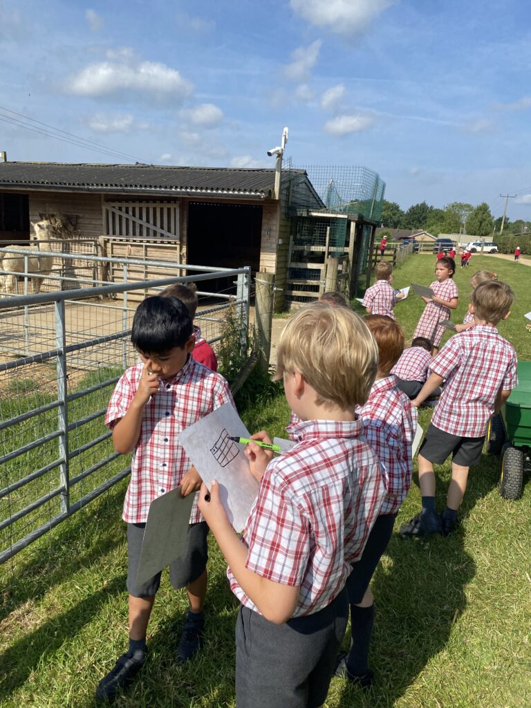 Animal Magic, Copthill School