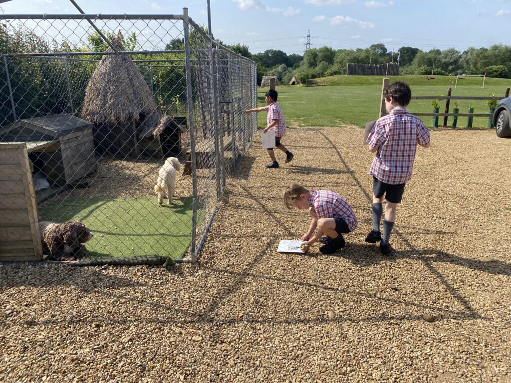 Animal Magic, Copthill School