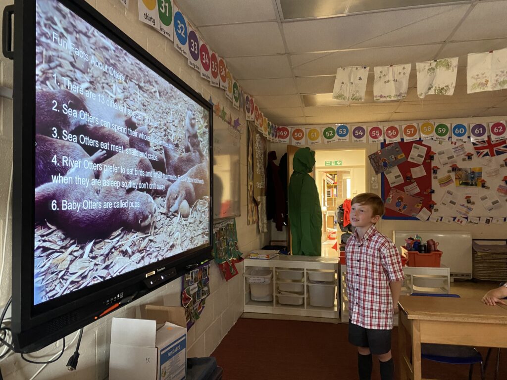 Animal Magic, Copthill School