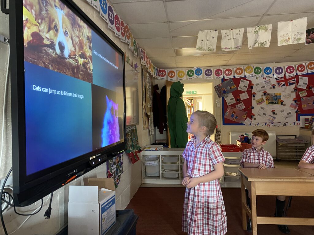 Animal Magic, Copthill School