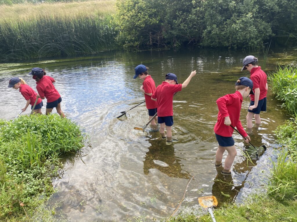 River life, Copthill School
