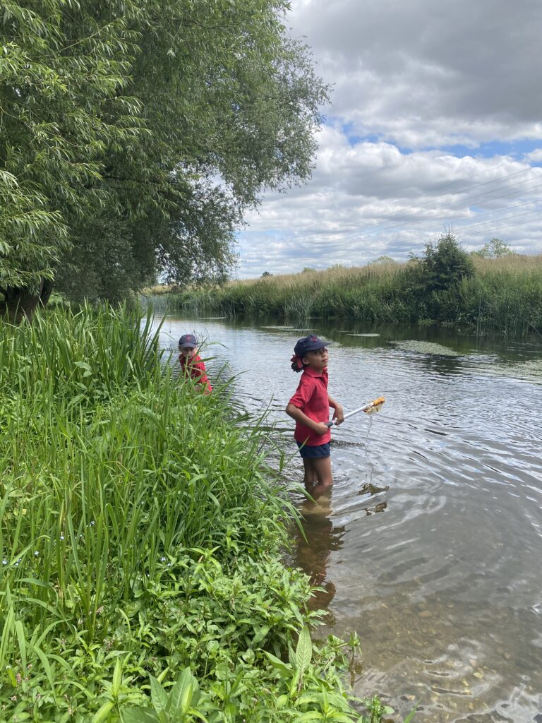 River life, Copthill School