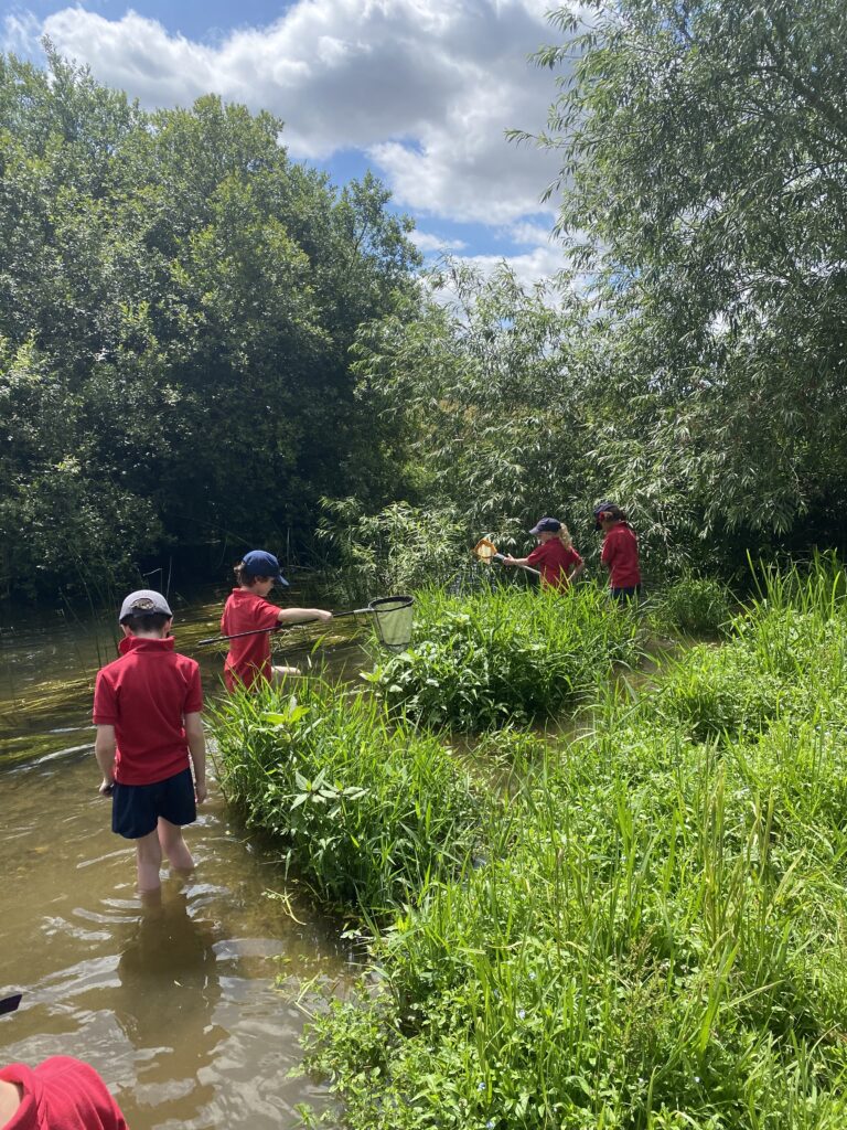 River life, Copthill School