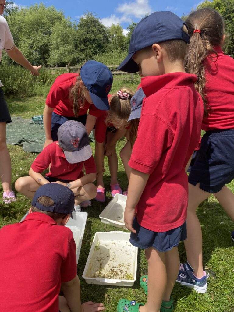 River life, Copthill School