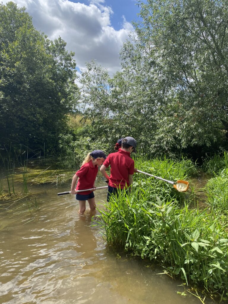 River life, Copthill School