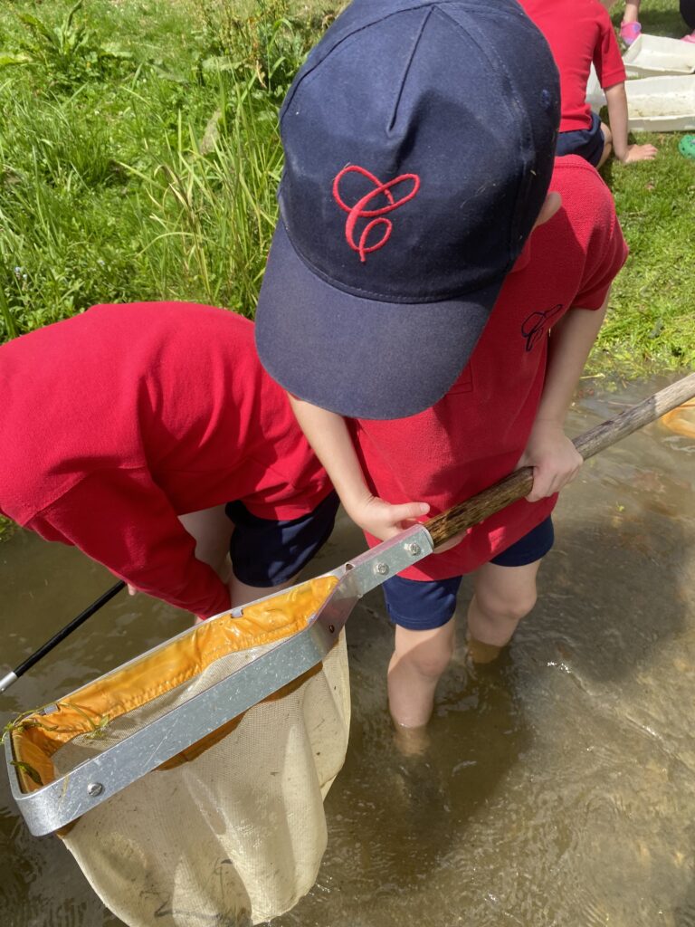 River life, Copthill School