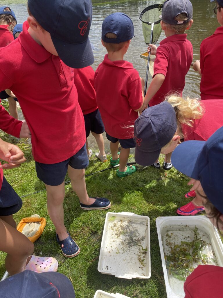 River life, Copthill School