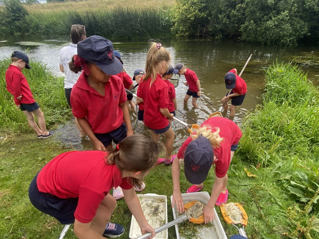 River life, Copthill School
